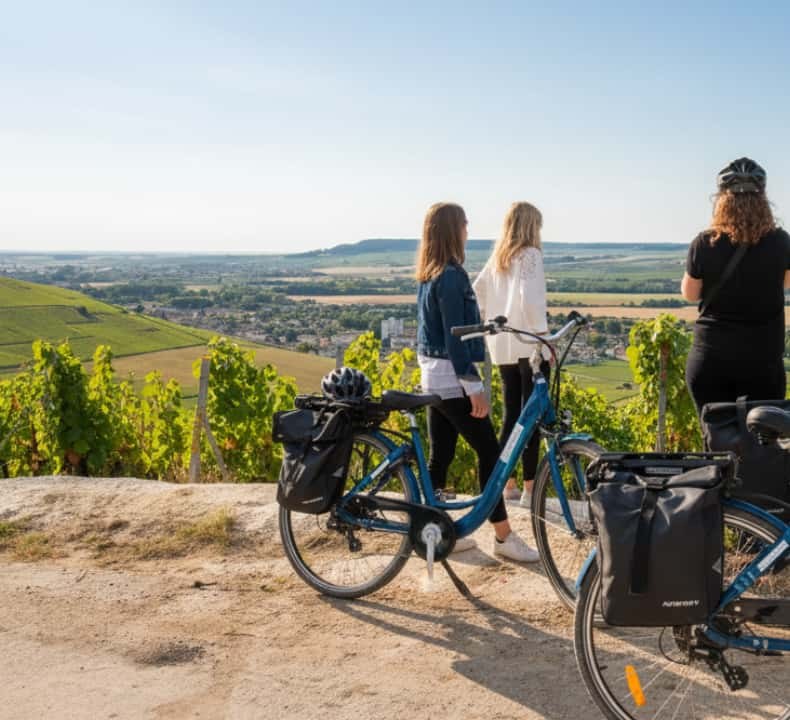 From Reims: Champagne Afternoon E-Bike Tour