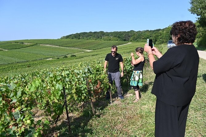 Check-out Reims: Discovery Vineyard and Tasting Champagne Coutant