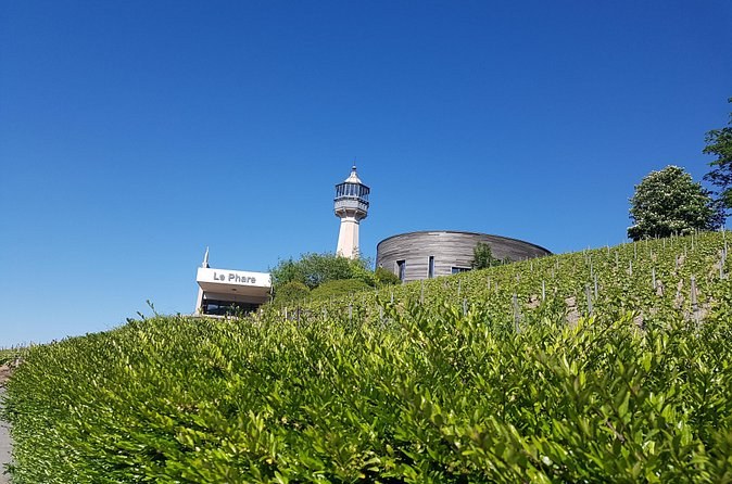 A white lighthouse standing among green vines on a summer day